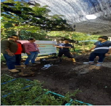 One day training on agrotechniques