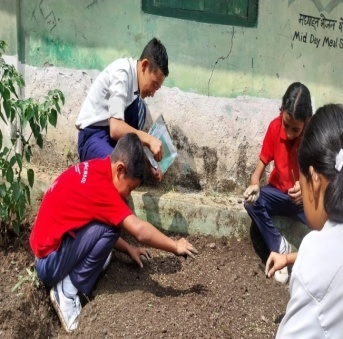 Activity Know Your Plants