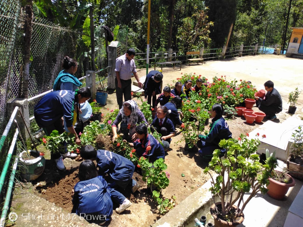 Activity on Organic Farming