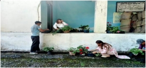 Plantation Of Flowers & Ornamental Plants
