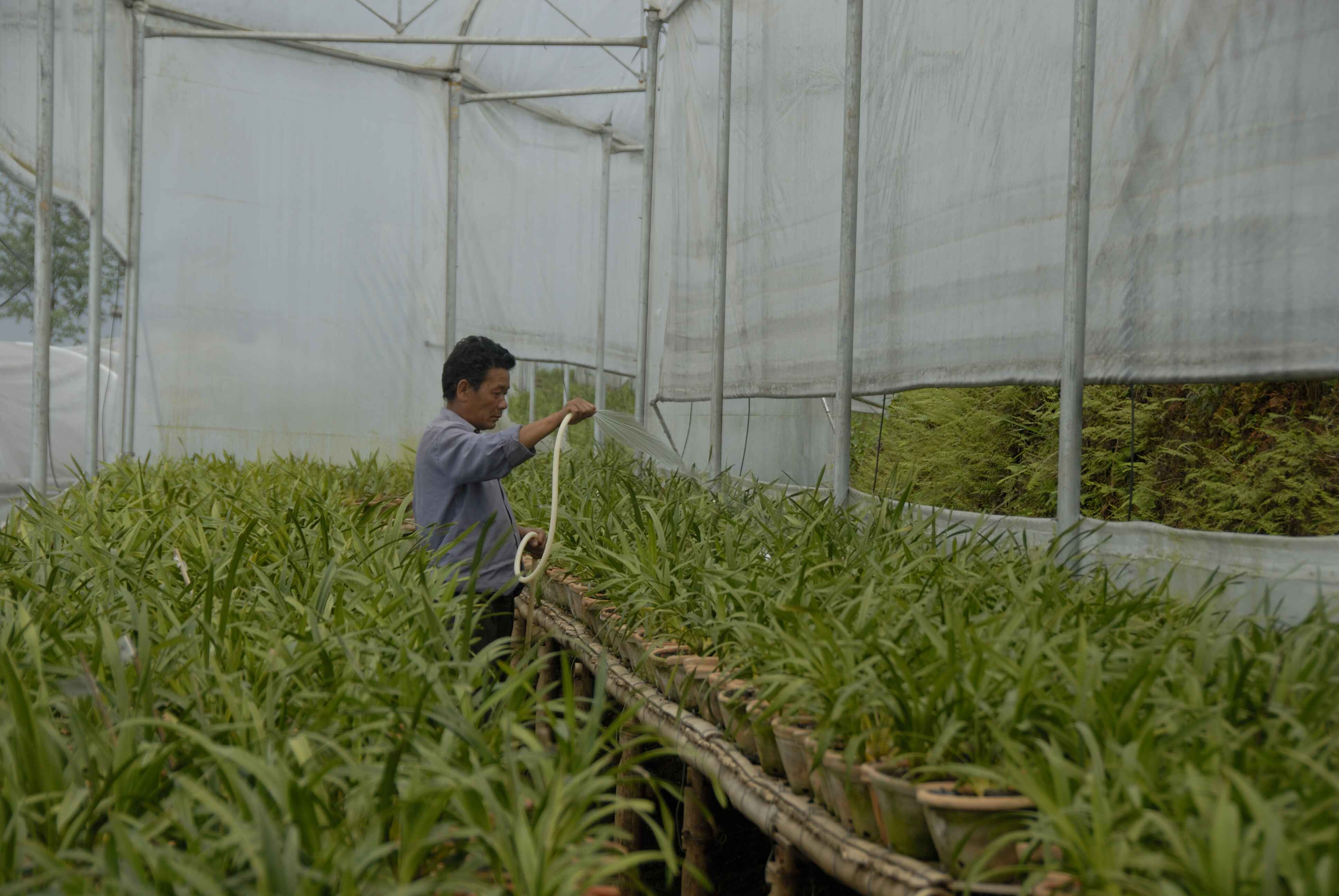 Sikkim realized the need to transform the conventional practice of farming into organic farming for environmental sustainability and land health.