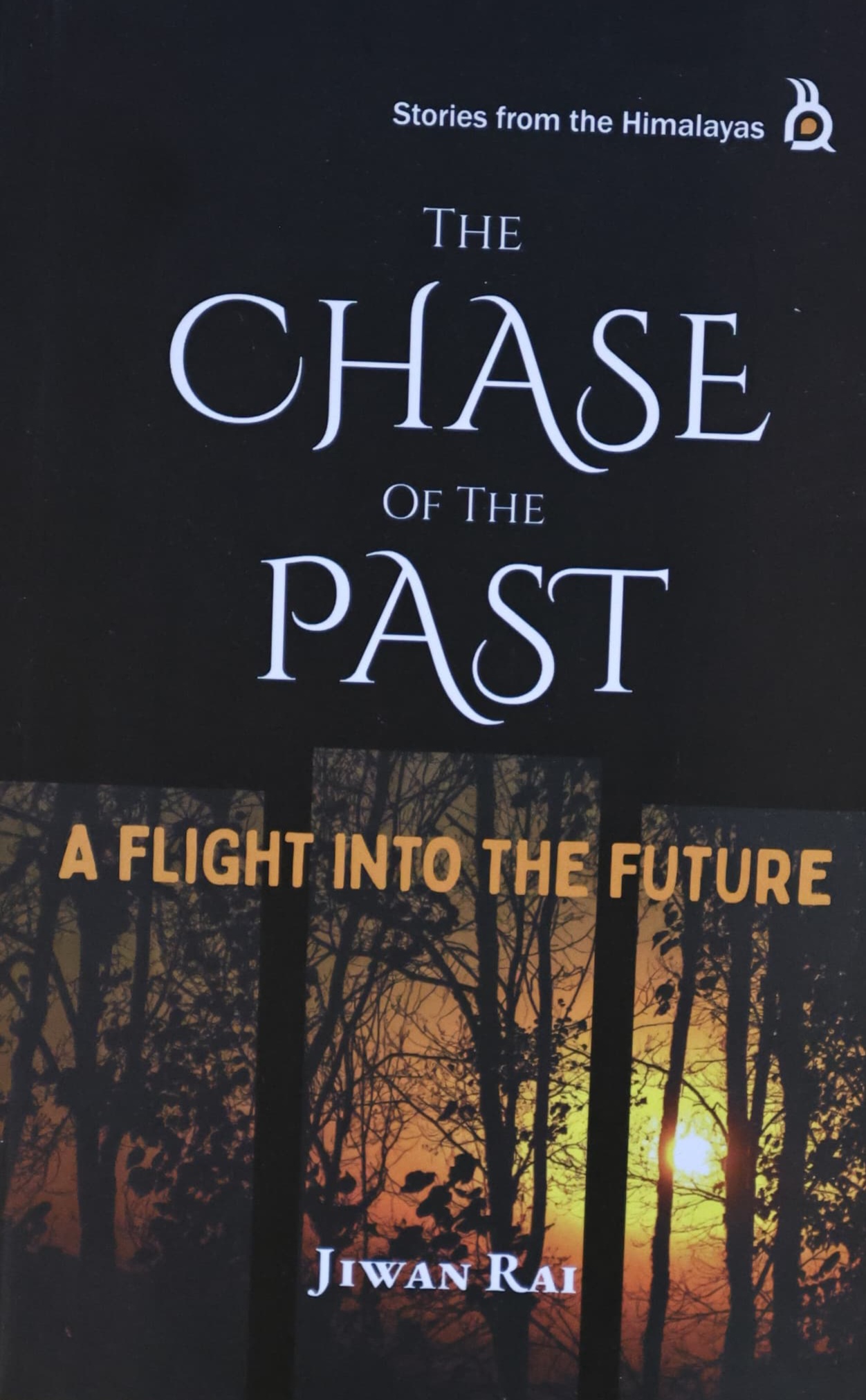 The Chase Of The Past by Jiwan Rai