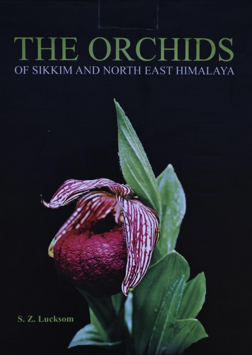 The Orchids by S.Z Lucksom