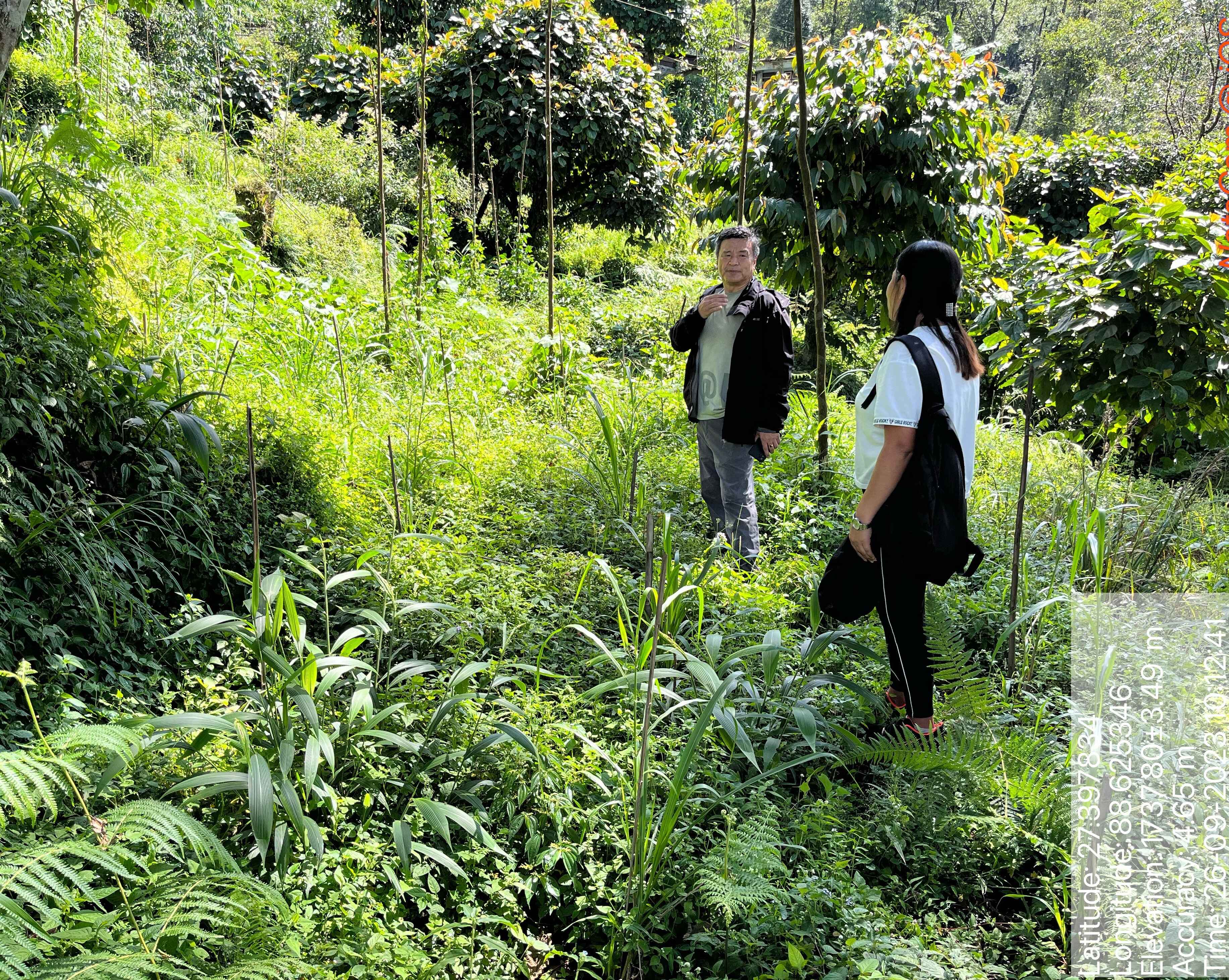 Forest & Environment Department