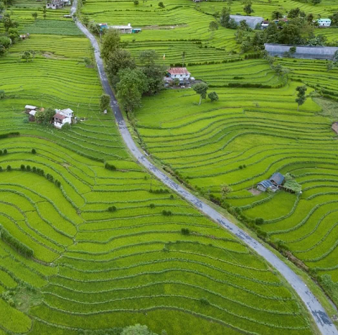 Sikkim Organic Farming Development Agency