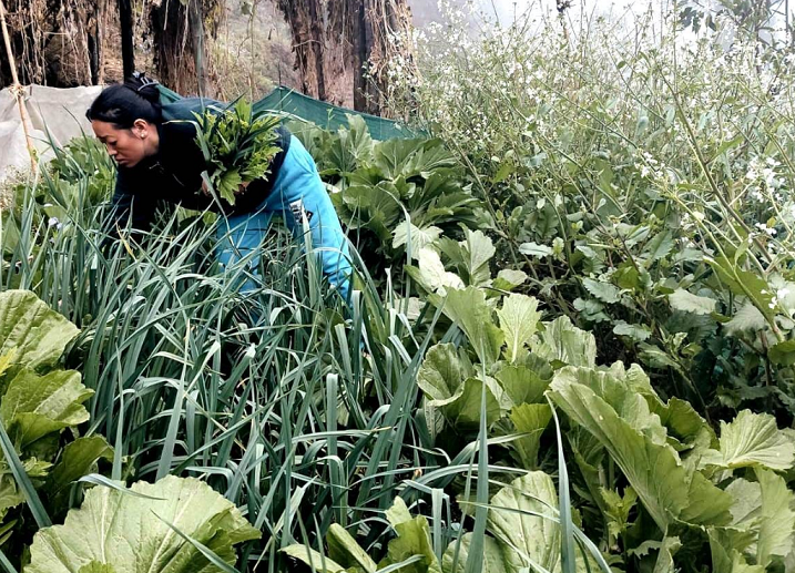 Sikkim Rural Livelihood Mission